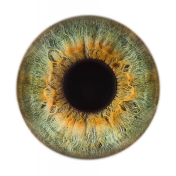 Photograph Jonathan Knowles Vision Express 4 on One Eyeland